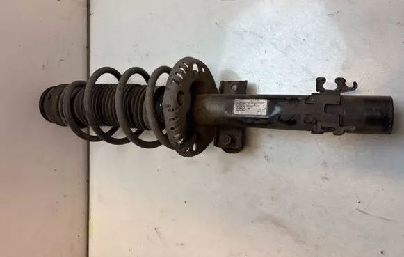 Skoda Fabia Mk3 (NJ) Front shock absorber/damper 6R0413031BF