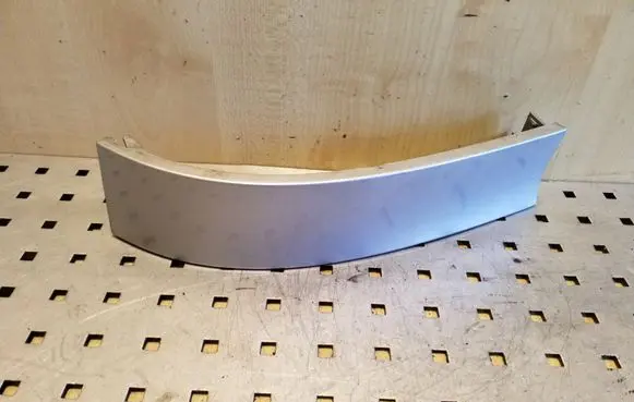 Rear/tail light trim molding