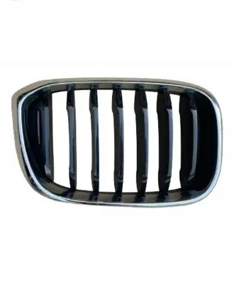 BMW X3 G01 Front bumper upper radiator grill 7464922