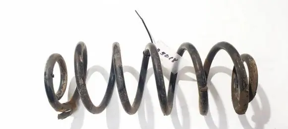 Skoda Octavia Mk2 (1Z) Rear coil spring
