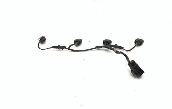 Jaguar S-Type Fuel injector wires 