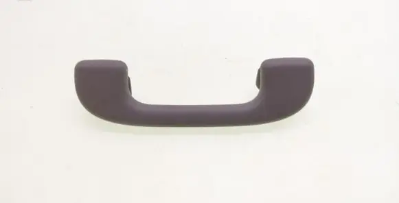 Front interior roof grab handle
