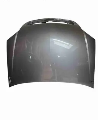 Opel Signum Engine bonnet/hood 93183981