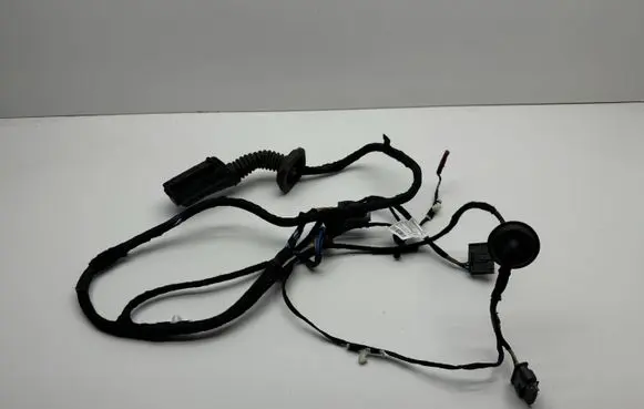 BMW X1 U11 Front door wiring loom 5A43568 5A43565