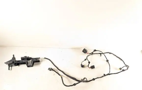 Other wiring loom