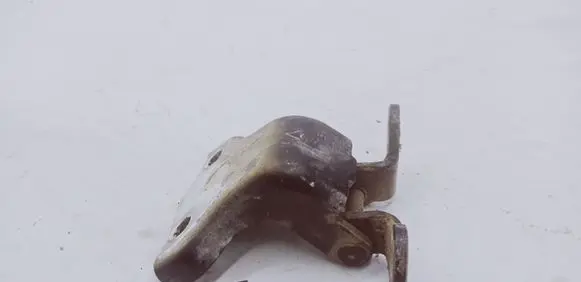 Opel Antara Rear door lower hinge 06H15