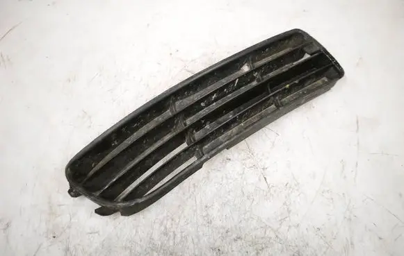 Front bumper lower grill