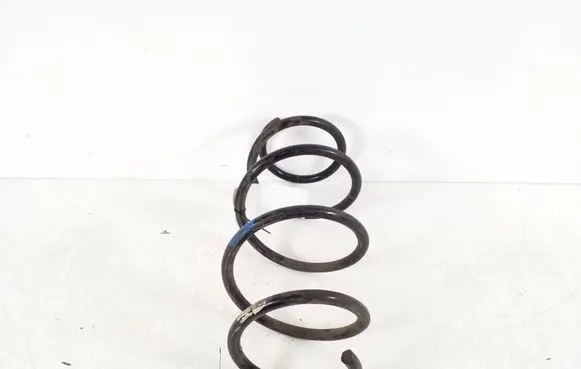 Front coil spring
