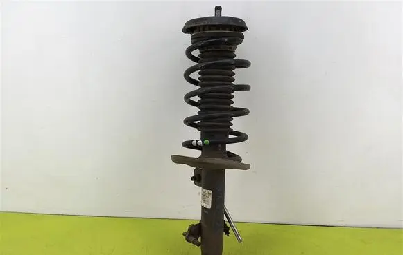 Front shock absorber with coil spring