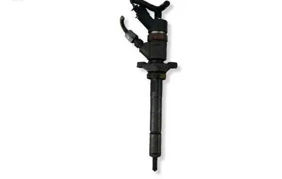 Citroen C4 I Picasso Fuel injector 0445110259 0E00