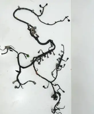 Honda Legend Engine installation wiring loom