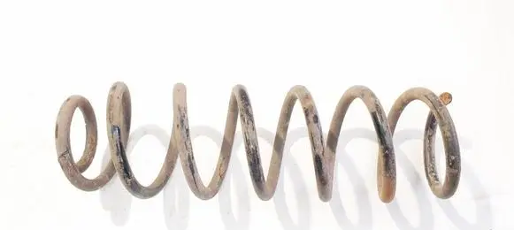 Rear coil spring