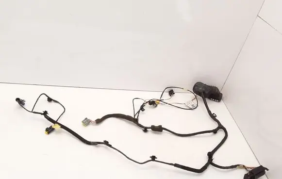 Renault Espace - Grand espace IV Front door wiring loom 8200517568