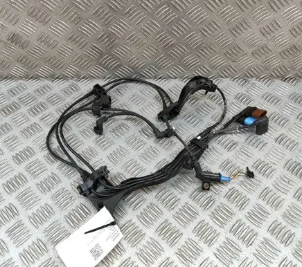 Mercedes-Benz EQE v295 Other wiring loom A2955406609