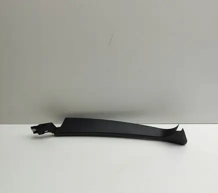 Front door trim (molding)
