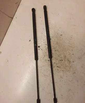 Ford Focus C-MAX Tailgate/trunk strut/damper