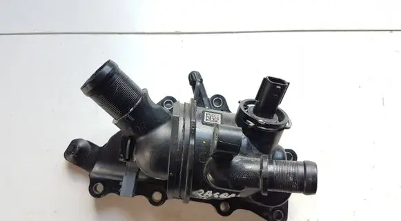 Thermostat/thermostat housing