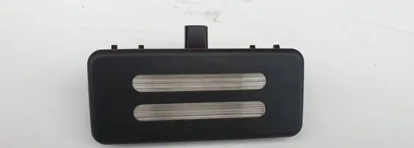 BMW X5 E70 Rear seat light 6962013