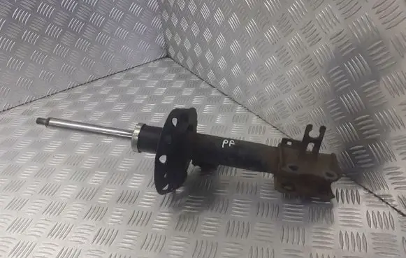 Opel Zafira B Front shock absorber/damper