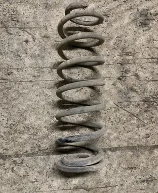 Volkswagen Golf Plus Rear coil spring
