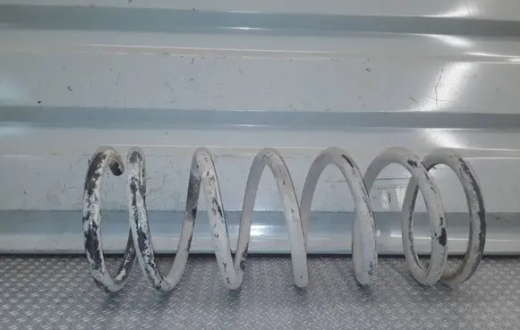 SsangYong Kyron Rear coil spring 