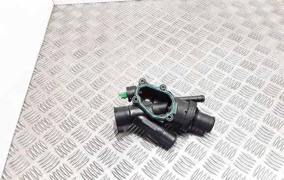 Thermostat/thermostat housing
