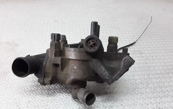 Thermostat/thermostat housing
