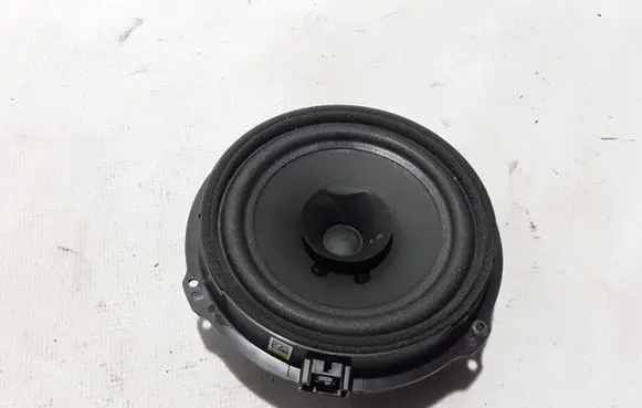 Rear door speaker