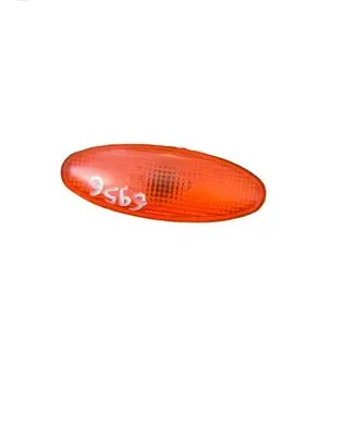 Ford Escort Front fender indicator light 95GG13K309AA