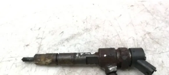 Lancia Thesis Fuel injector 0445110119