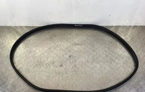 Dacia Jogger Front door rubber seal