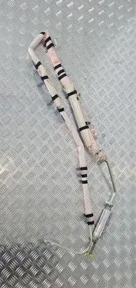 Nissan Murano Z51 Roof airbag