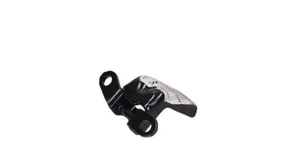 Renault Kadjar Rear door lower hinge 804206052R