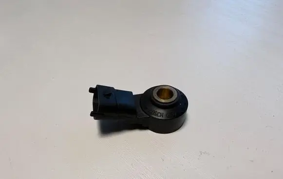 Porsche Panamera (970) Detonation knock sensor 0261231173