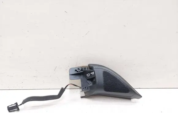 Volkswagen Golf VI Front door high frequency speaker 1K9837974