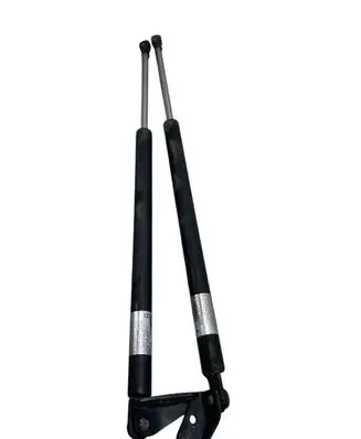 Mazda CX-7 Tailgate strut C17k06