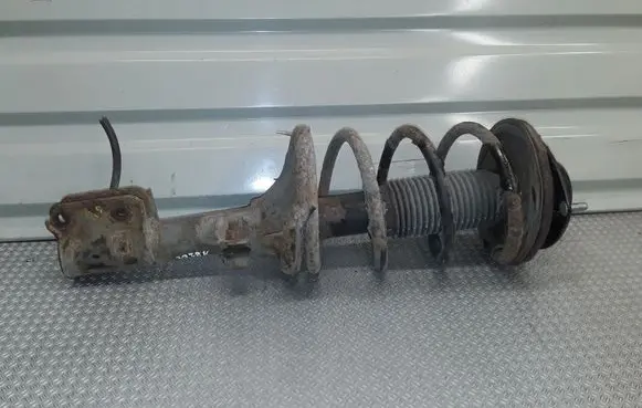 Hyundai Santa Fe Front shock absorber with coil spring