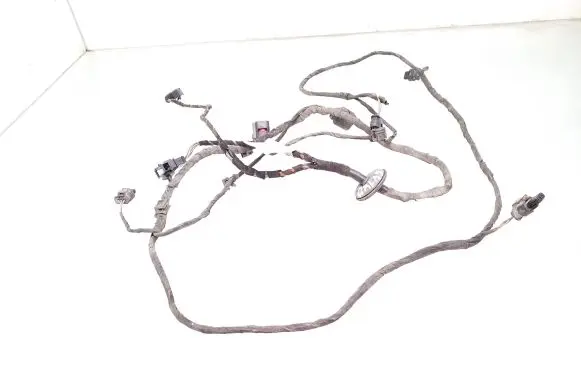 Audi Q5 SQ5 Parking sensor (PDC) wiring loom 8R0971104A