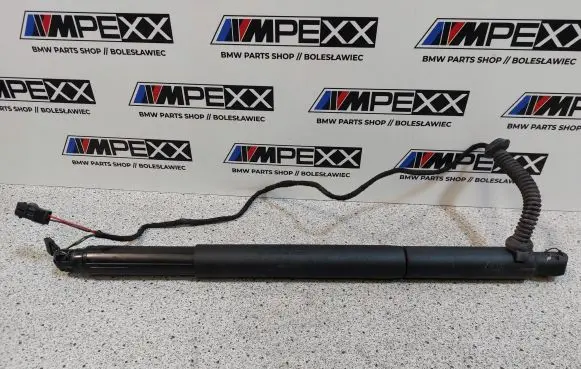 BMW X6 E71 Tailgate strut 7332697