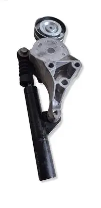 Volkswagen Golf IV Generator/alternator belt tensioner T38192A1R0170 655377152