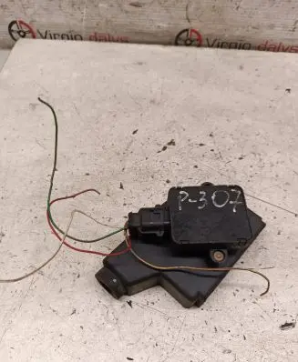 Peugeot 406 Accelerator throttle pedal 9613889180