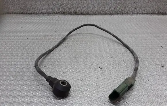 Volkswagen PASSAT B5.5 Detonation knock sensor 07D905377