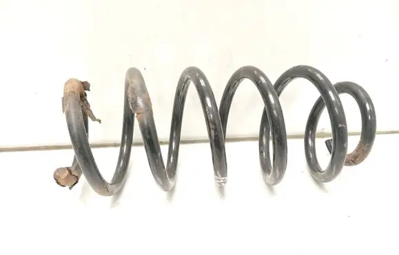 Rear coil spring