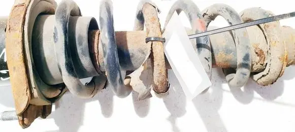 Rear coil spring