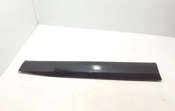 Front door trim (molding)