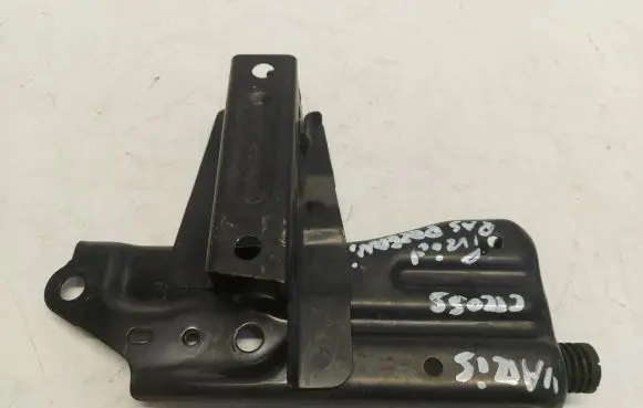 Engine bonnet/hood lock trim molding