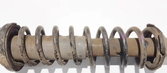 Honda Civic Rear coil spring