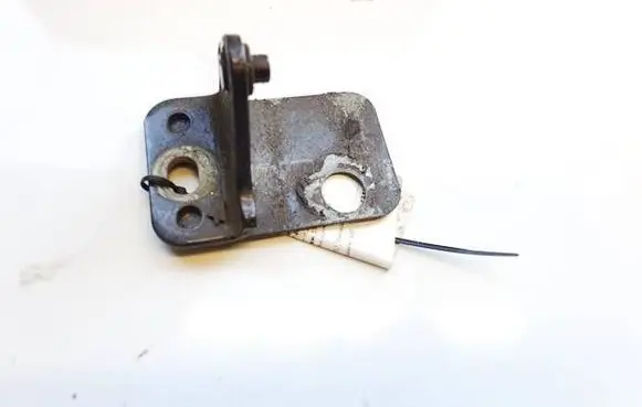 Audi Q7 4L Rear door lower hinge 