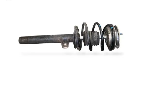 BMW 3 E46 Front shock absorber with coil spring 2282101 31312282101