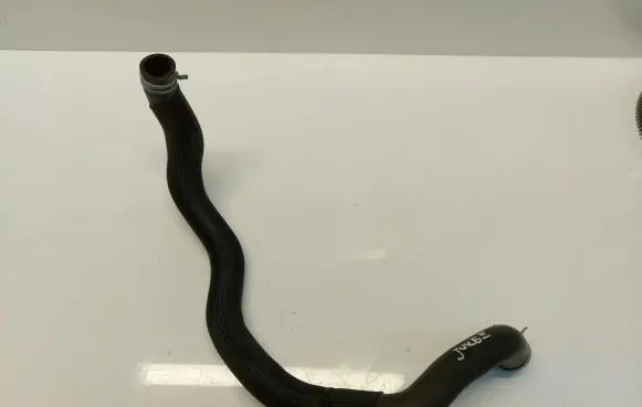 Nissan Juke II F16 Engine coolant pipe/hose